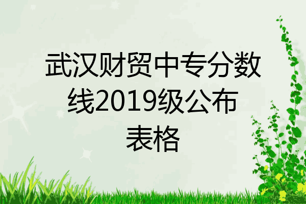 武汉财贸中专分数线2019级公布表格