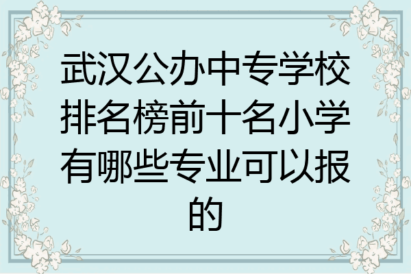 武汉公办中专学校排名榜前十名小学有哪些专业可以报的
