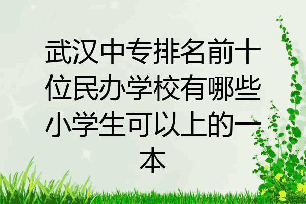 武汉中专排名前十位民办学校有哪些小学生可以上的一本