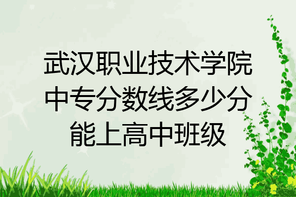 武汉职业技术学院中专分数线多少分能上高中班级