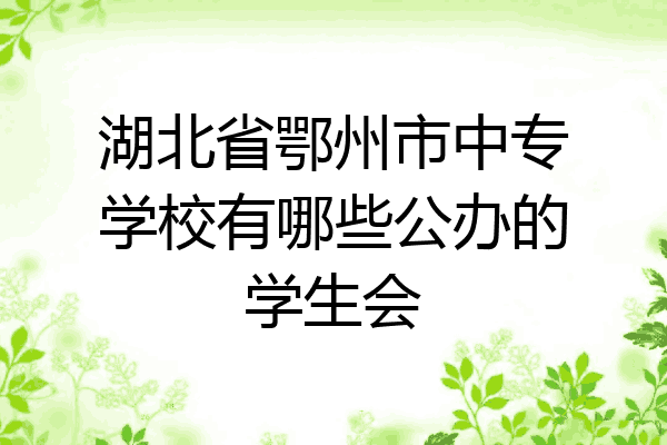 湖北省鄂州市中专学校有哪些公办的学生会