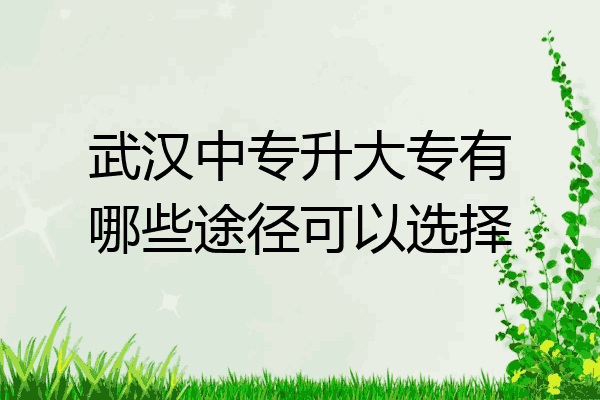 武汉中专升大专有哪些途径可以选择