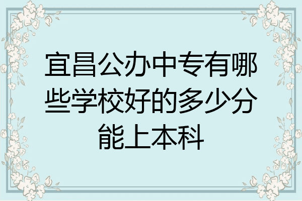 宜昌公办中专有哪些学校好的多少分能上本科