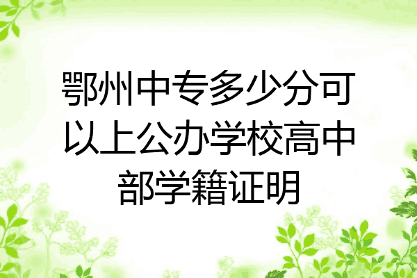 鄂州中专多少分可以上公办学校高中部学籍证明