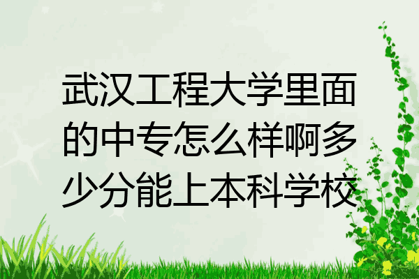 武汉工程大学里面的中专怎么样啊多少分能上本科学校