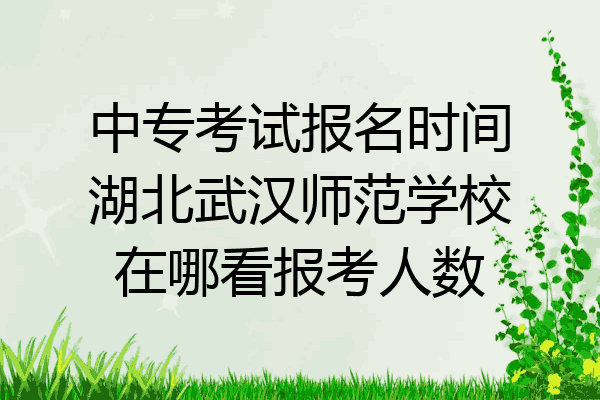 中专考试报名时间湖北武汉师范学校在哪看报考人数