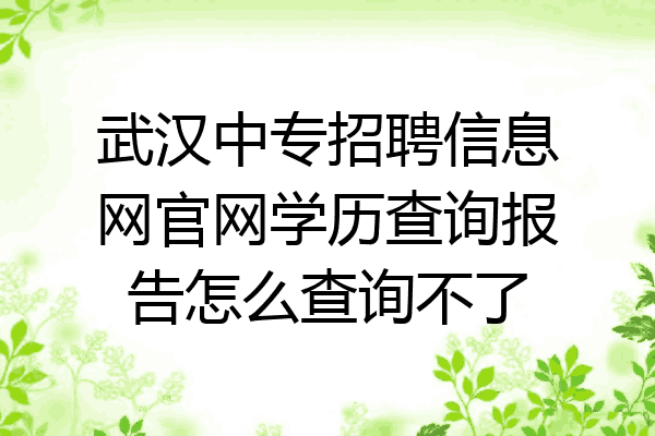 武汉中专招聘信息网官网学历查询报告怎么查询不了