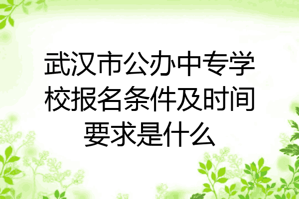 武汉市公办中专学校报名条件及时间要求是什么