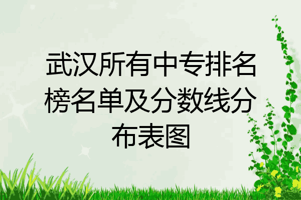 武汉所有中专排名榜名单及分数线分布表图