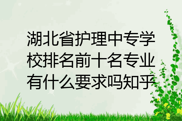 湖北省护理中专学校排名前十名专业有什么要求吗知乎
