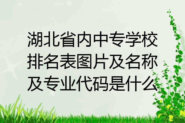 湖北省内中专学校排名表图片及名称及专业代码是什么