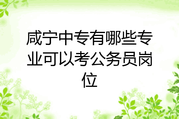 咸宁中专有哪些专业可以考公务员岗位