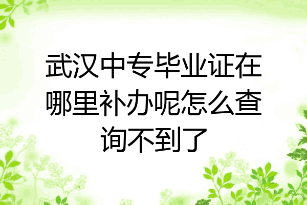 武汉中专毕业证在哪里补办呢怎么查询不到了