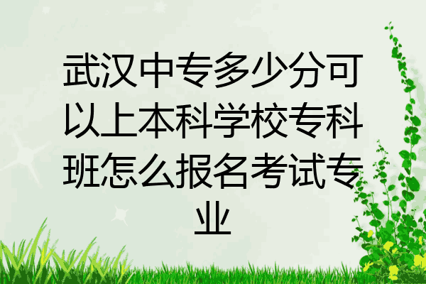 武汉中专多少分可以上本科学校专科班怎么报名考试专业