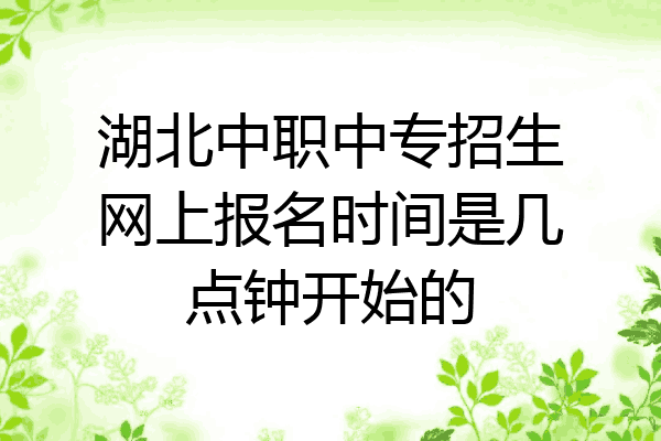 湖北中职中专招生网上报名时间是几点钟开始的