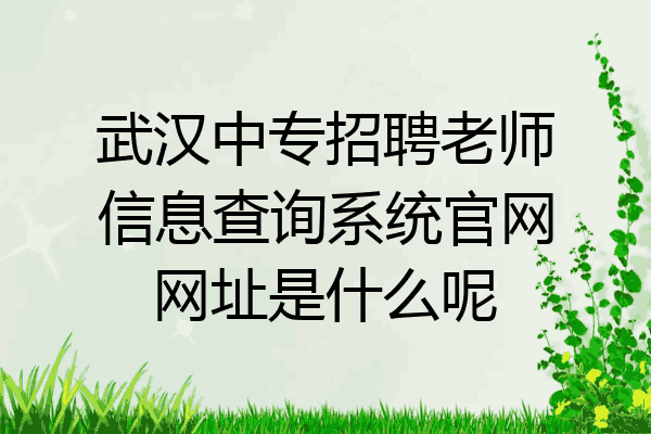 武汉中专招聘老师信息查询系统官网网址是什么呢