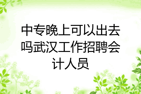 中专晚上可以出去吗武汉工作招聘会计人员