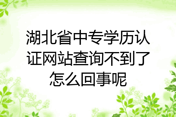 湖北省中专学历认证网站查询不到了怎么回事呢