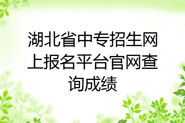 湖北省中专招生网上报名平台官网查询成绩
