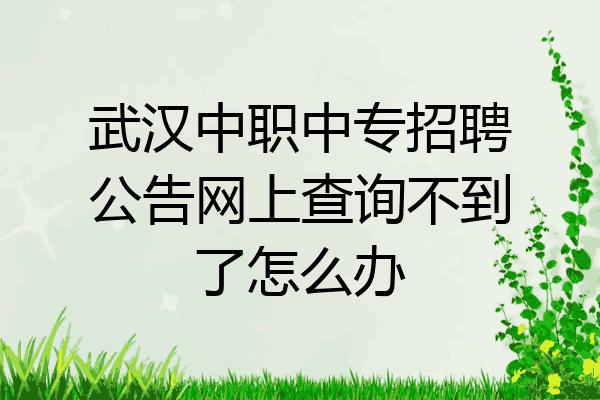 武汉中职中专招聘公告网上查询不到了怎么办