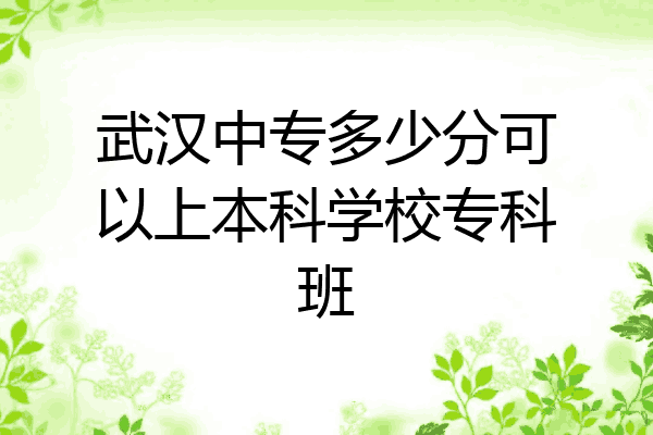 武汉中专多少分可以上本科学校专科班