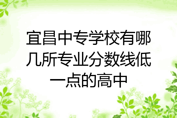 宜昌中专学校有哪几所专业分数线低一点的高中