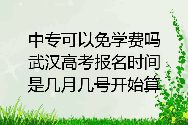 中专可以免学费吗武汉高考报名时间是几月几号开始算