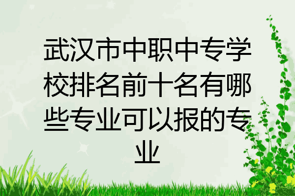 武汉市中职中专学校排名前十名有哪些专业可以报的专业