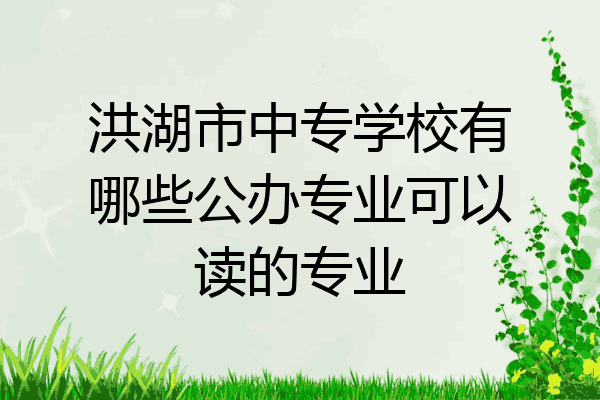 洪湖市中专学校有哪些公办专业可以读的专业