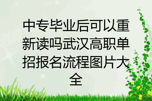 中专毕业后可以重新读吗武汉高职单招报名流程图片大全