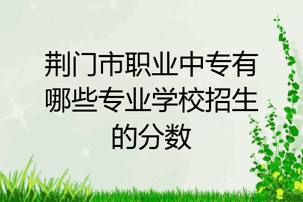 荆门市职业中专有哪些专业学校招生的分数