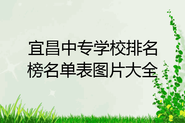 宜昌中专学校排名榜名单表图片大全