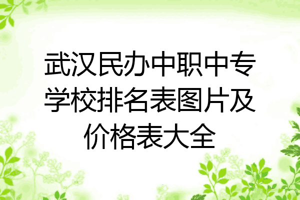 武汉民办中职中专学校排名表图片及价格表大全