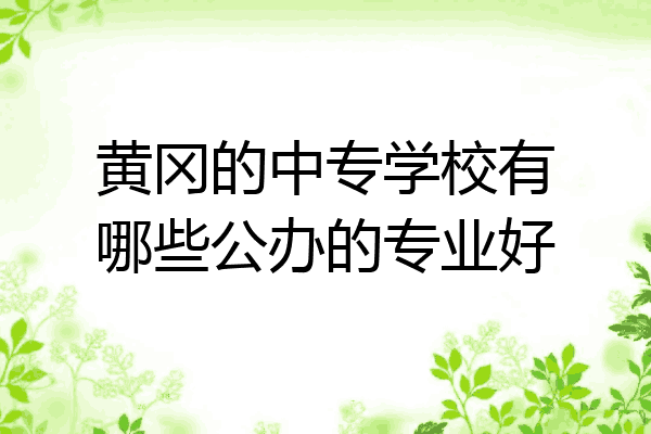 黄冈的中专学校有哪些公办的专业好