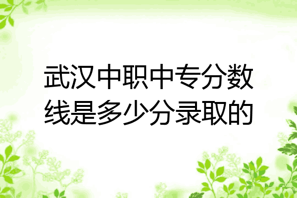 武汉中职中专分数线是多少分录取的