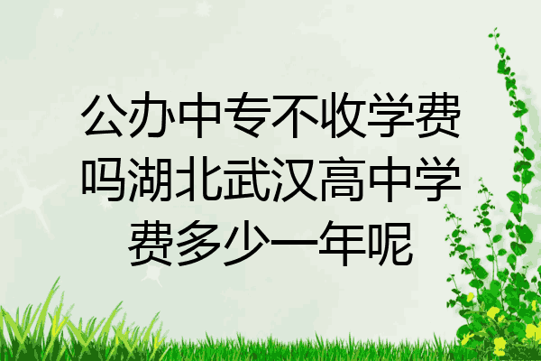 公办中专不收学费吗湖北武汉高中学费多少一年呢