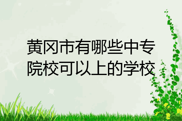 黄冈市有哪些中专院校可以上的学校