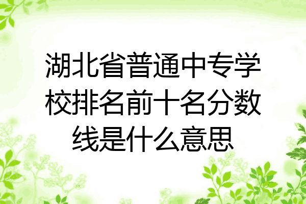 湖北省普通中专学校排名前十名分数线是什么意思