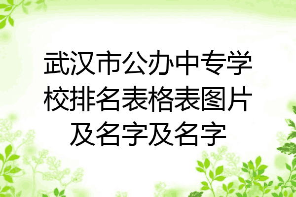 武汉市公办中专学校排名表格表图片及名字及名字