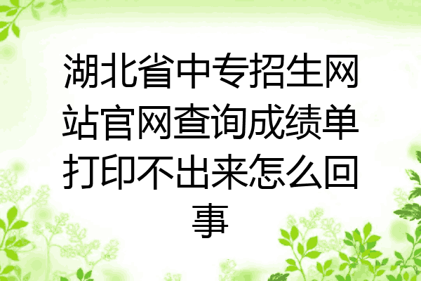 湖北省中专招生网站官网查询成绩单打印不出来怎么回事