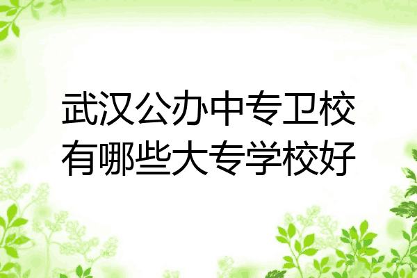 武汉公办中专卫校有哪些大专学校好