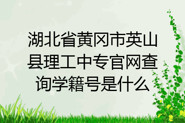 湖北省黄冈市英山县理工中专官网查询学籍号是什么