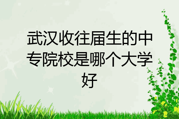 武汉收往届生的中专院校是哪个大学好