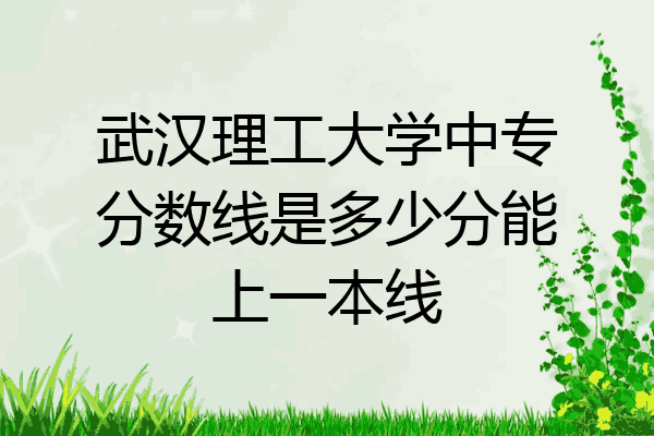 武汉理工大学中专分数线是多少分能上一本线