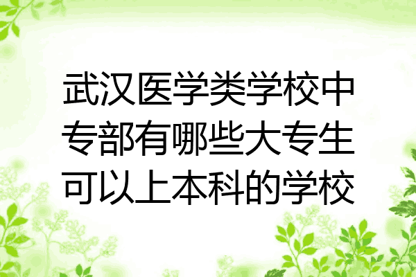 武汉医学类学校中专部有哪些大专生可以上本科的学校