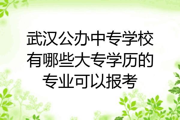 武汉公办中专学校有哪些大专学历的专业可以报考