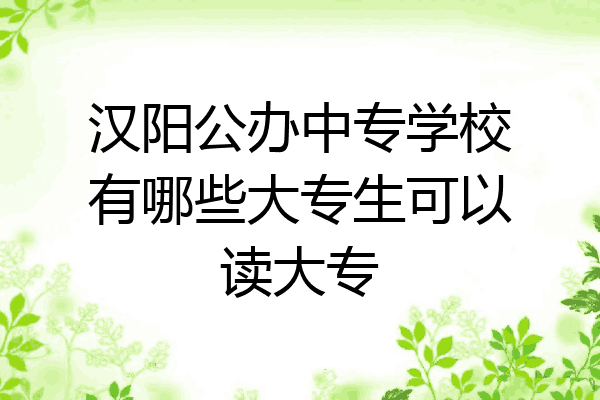 汉阳公办中专学校有哪些大专生可以读大专