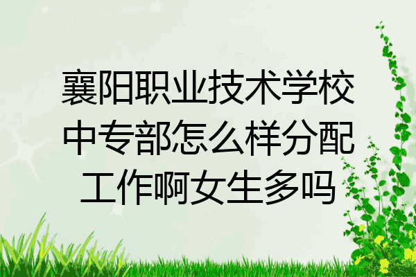 襄阳职业技术学校中专部怎么样分配工作啊女生多吗