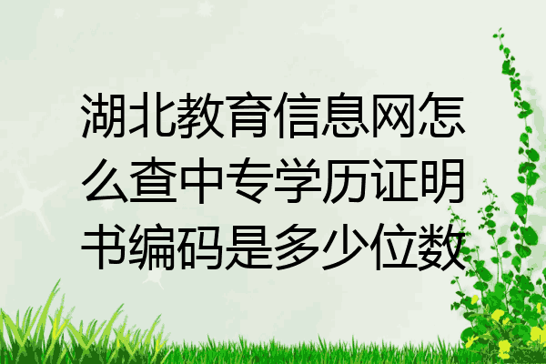 湖北教育信息网怎么查中专学历证明书编码是多少位数