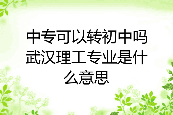 中专可以转初中吗武汉理工专业是什么意思
